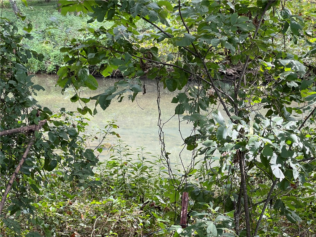 Image 19