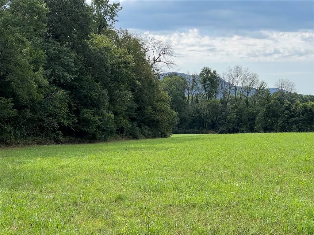 Image 21