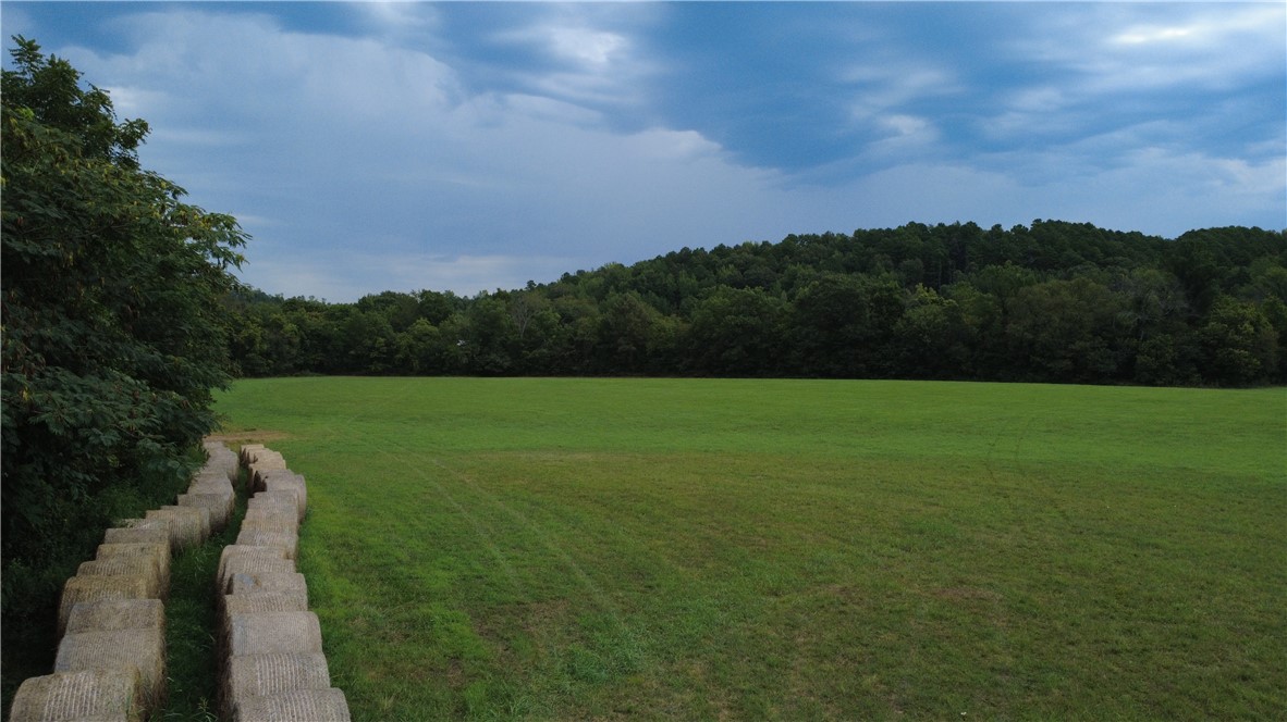 Image 24