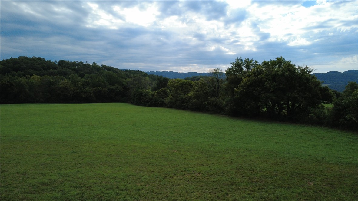 Image 25