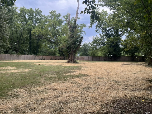 Image 14