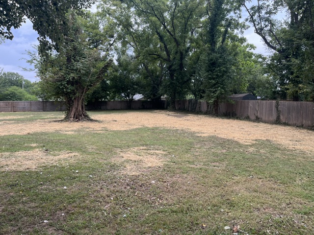 Image 15