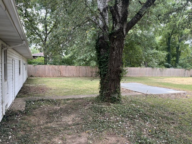 Image 17
