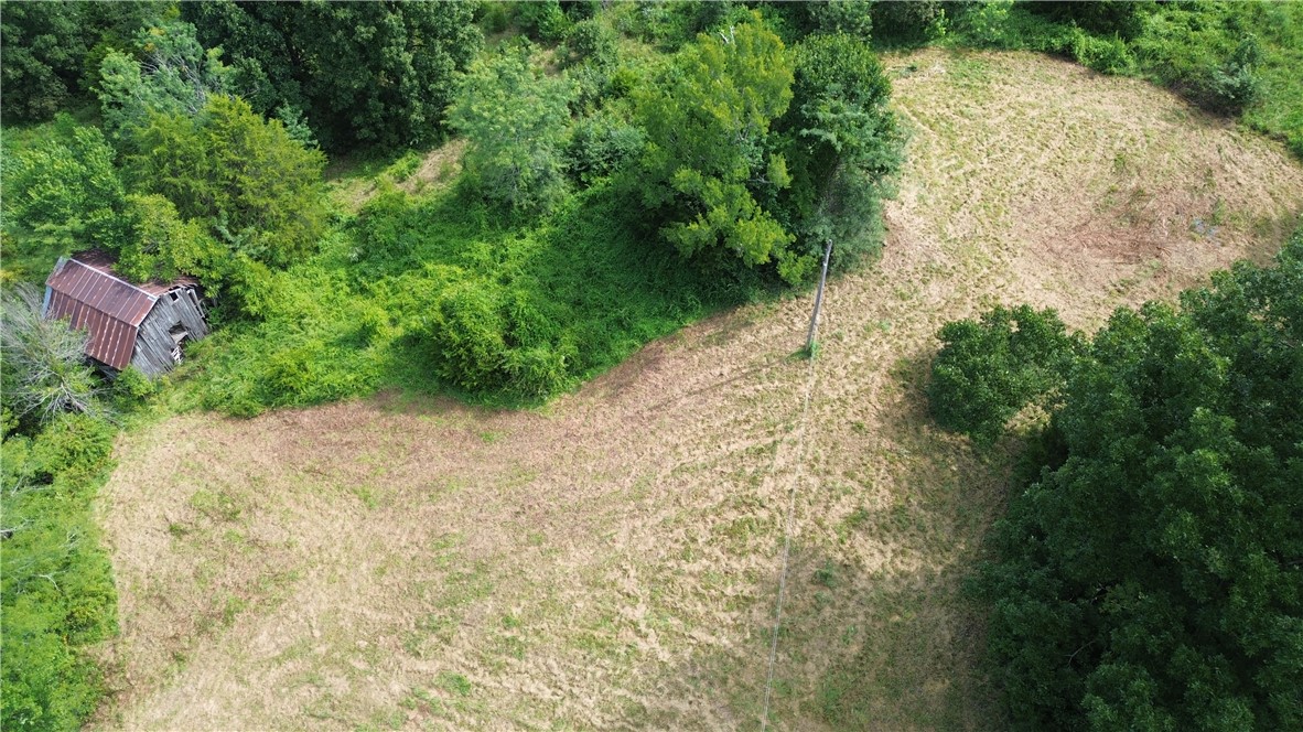 Image 13