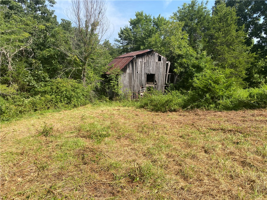 Image 19
