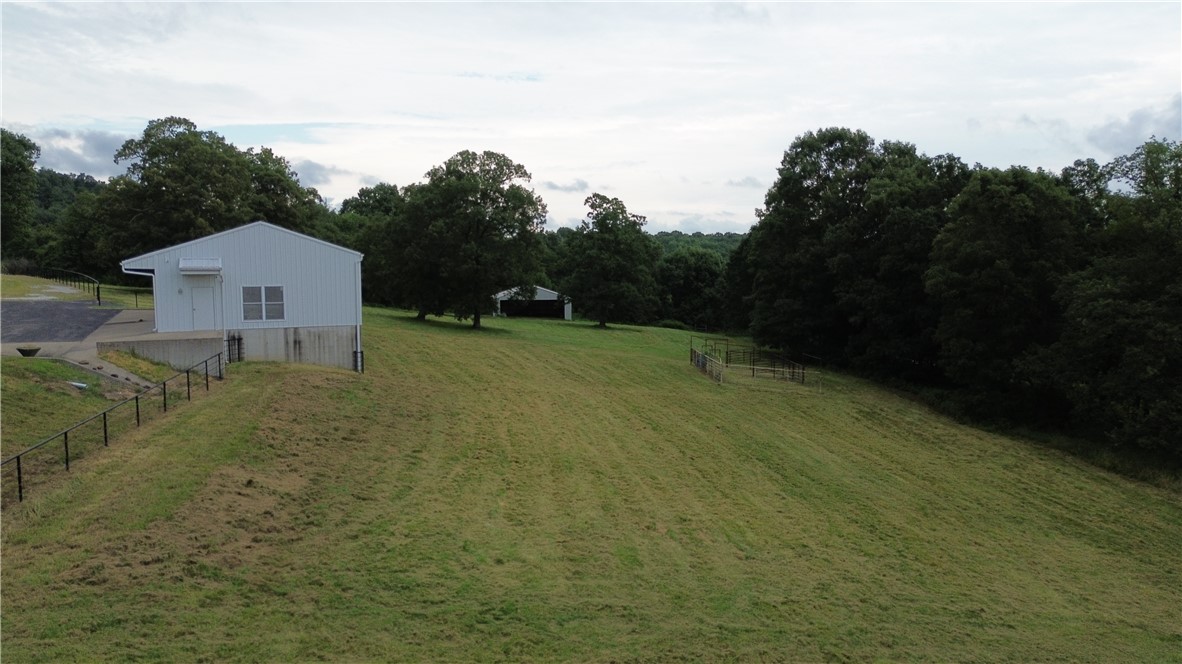 Image 38