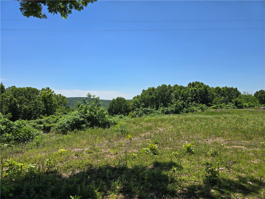 Image 14