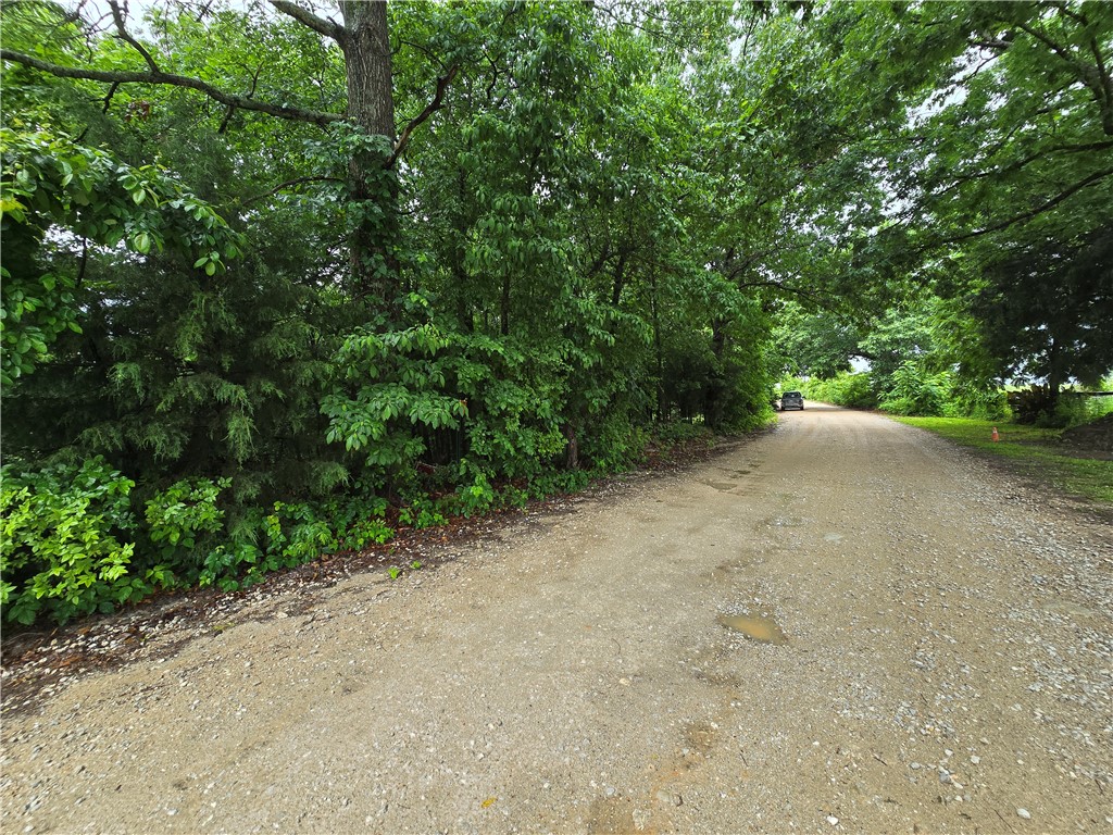 Image 18