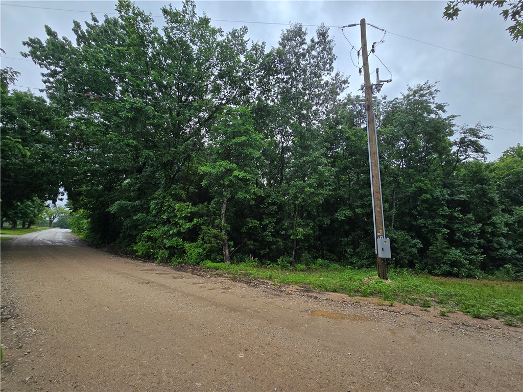 Image 19