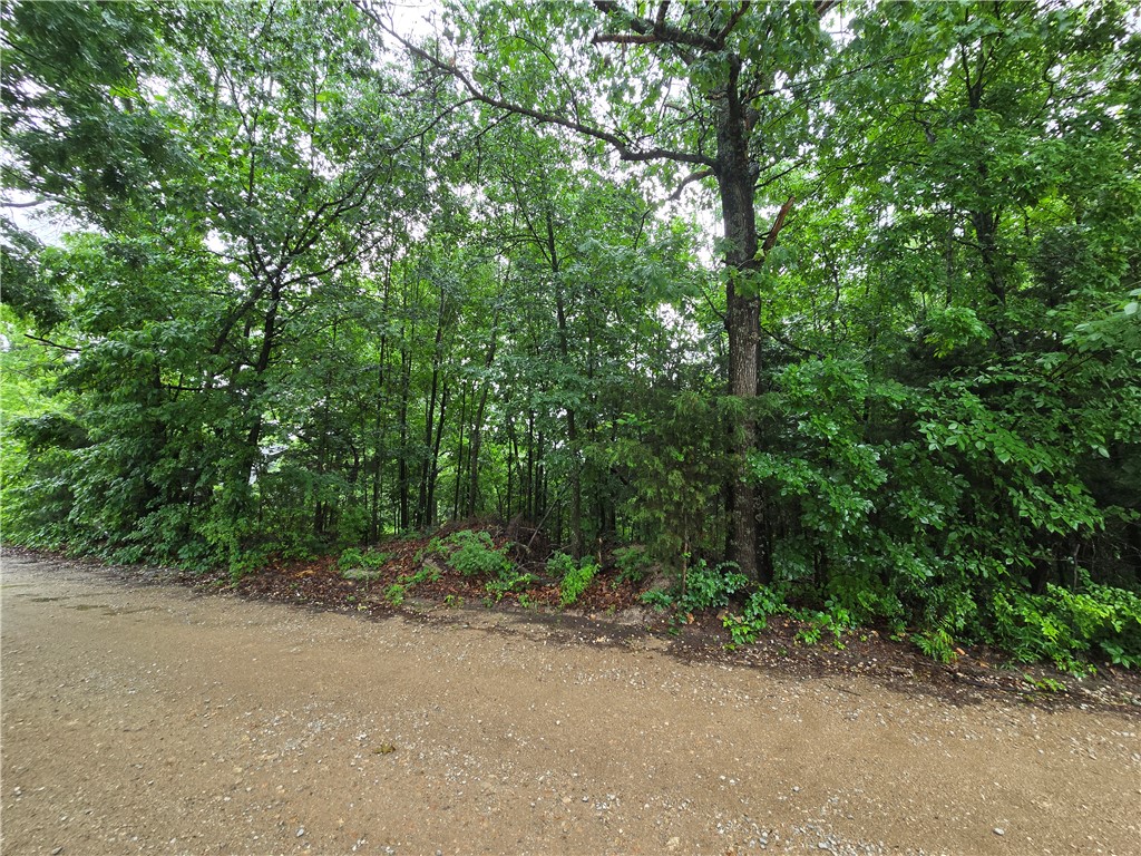 Image 31