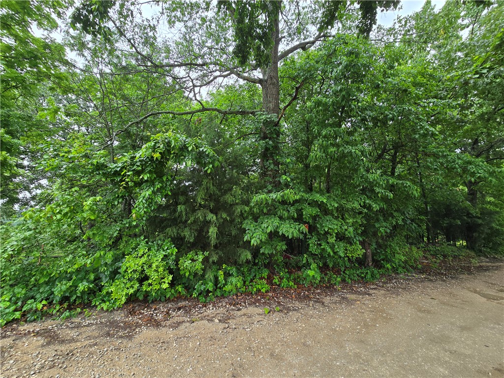Image 32