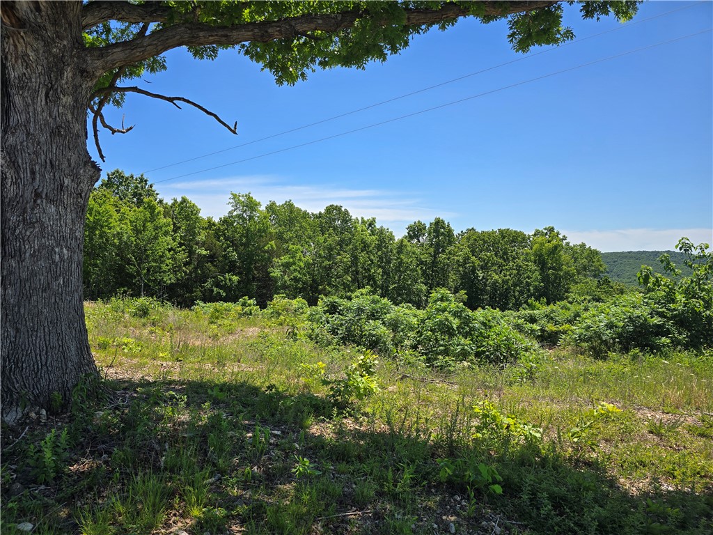 Image 12