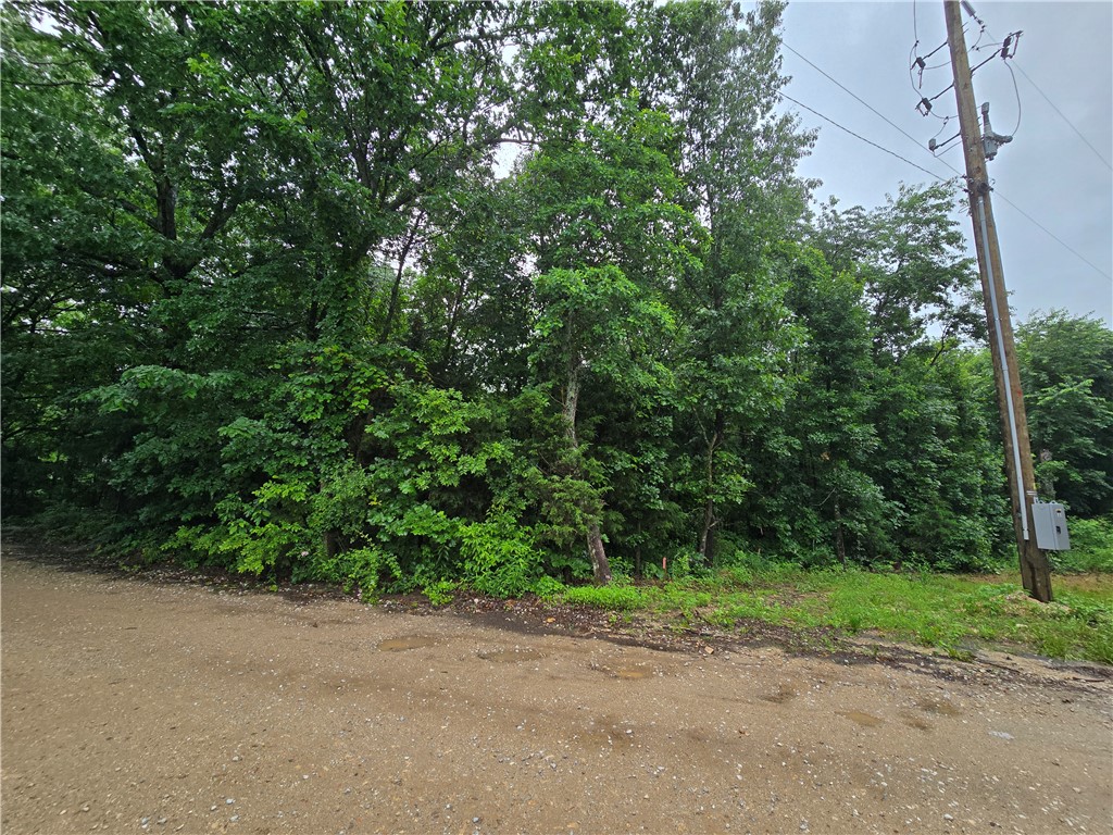 Image 6