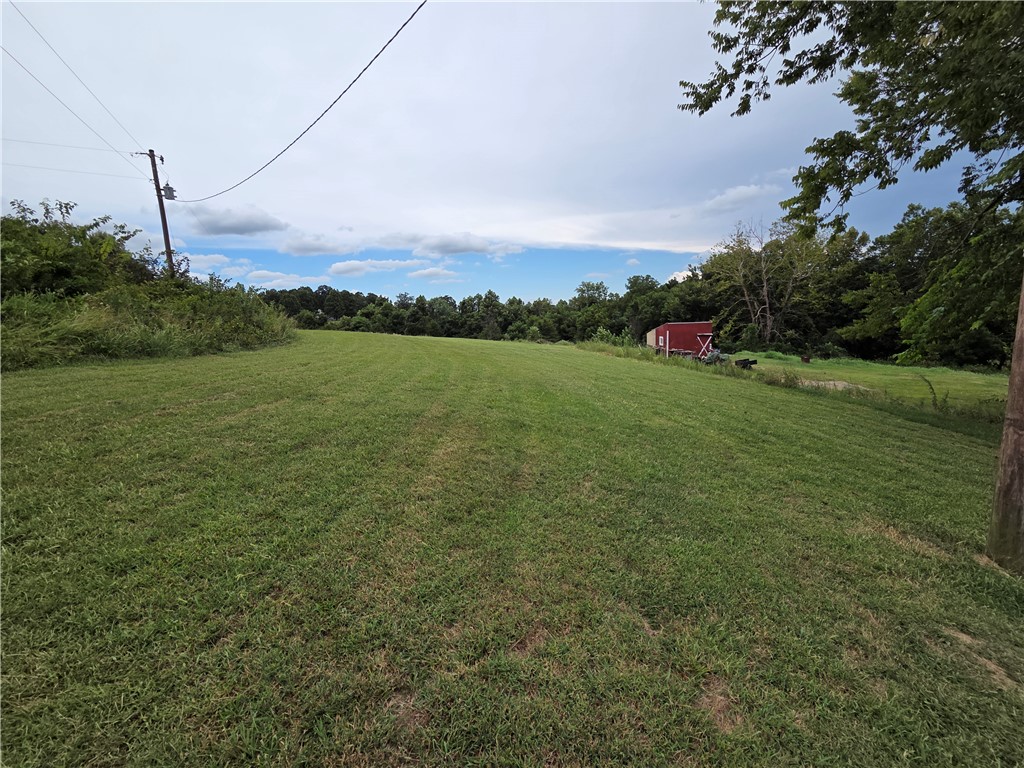 Image 12