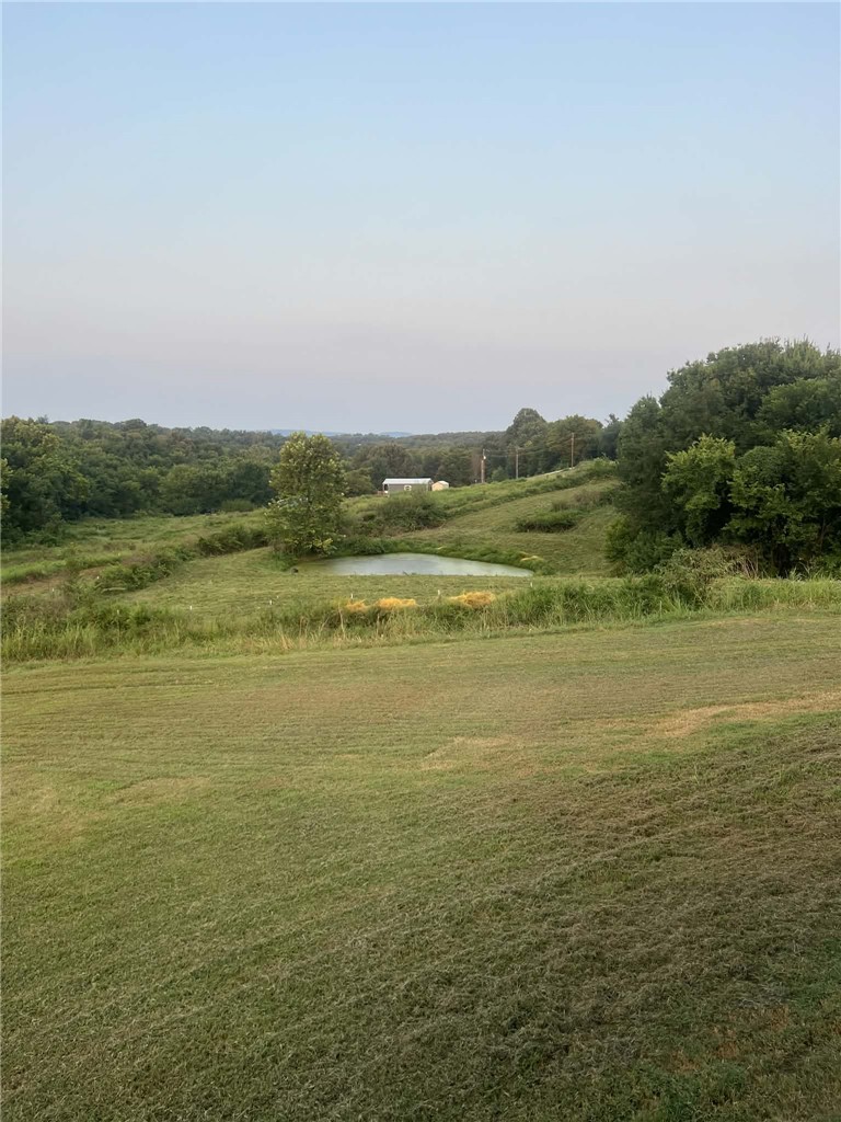 Image 14