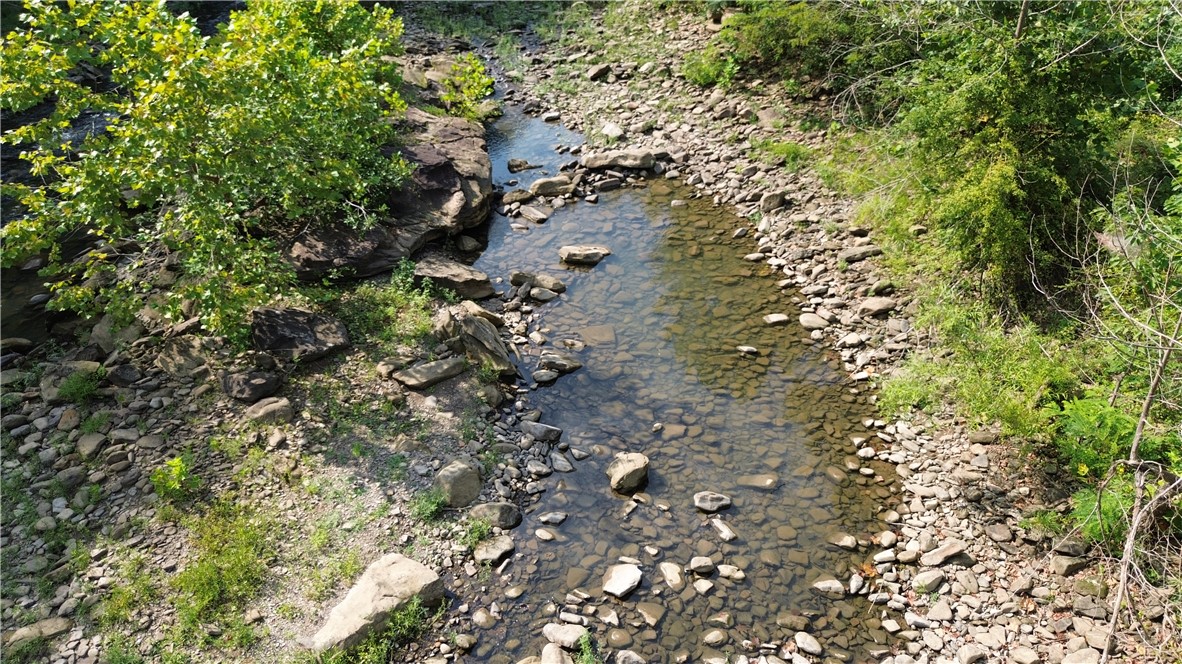 Image 16