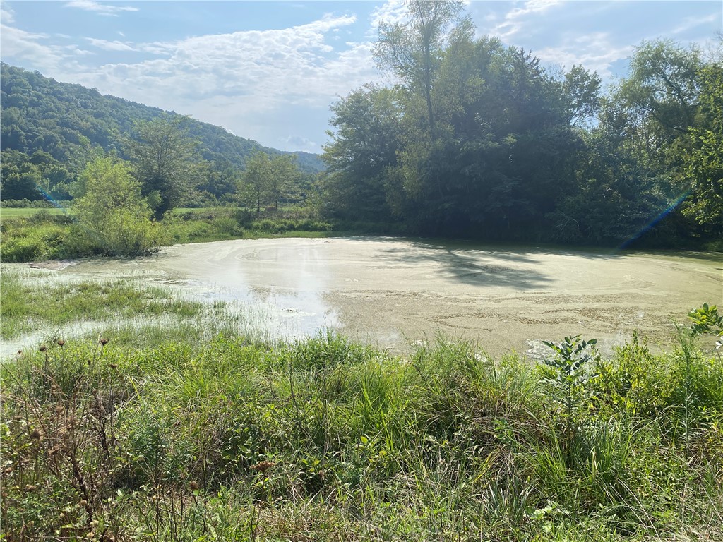 Image 34