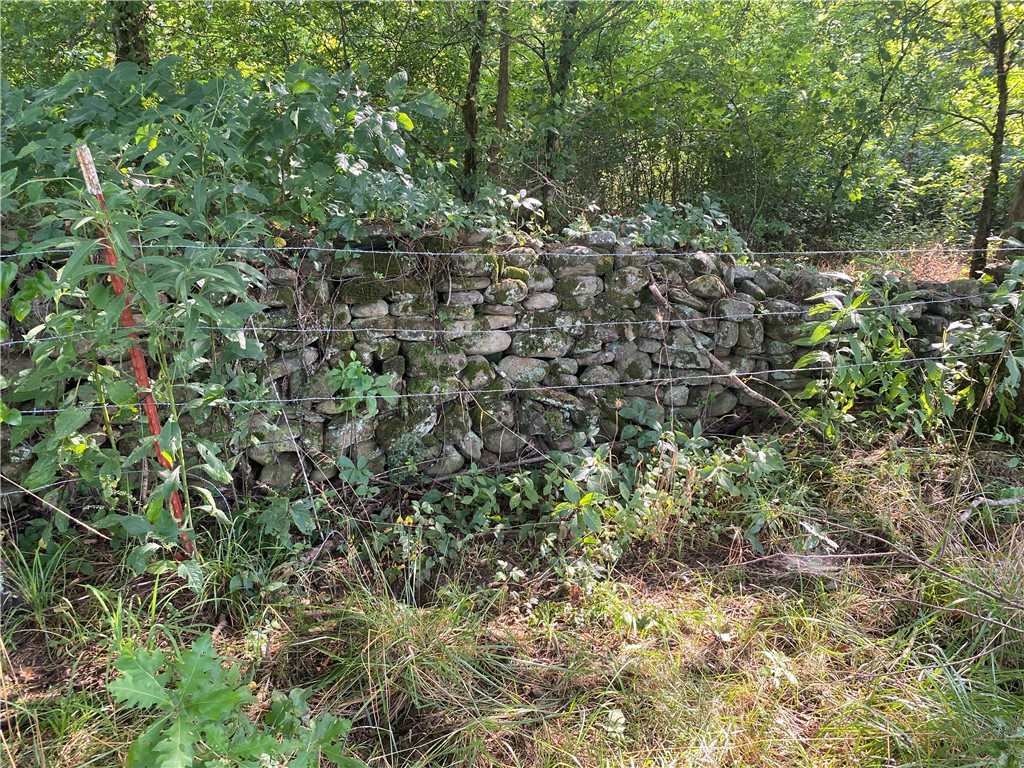 Image 36
