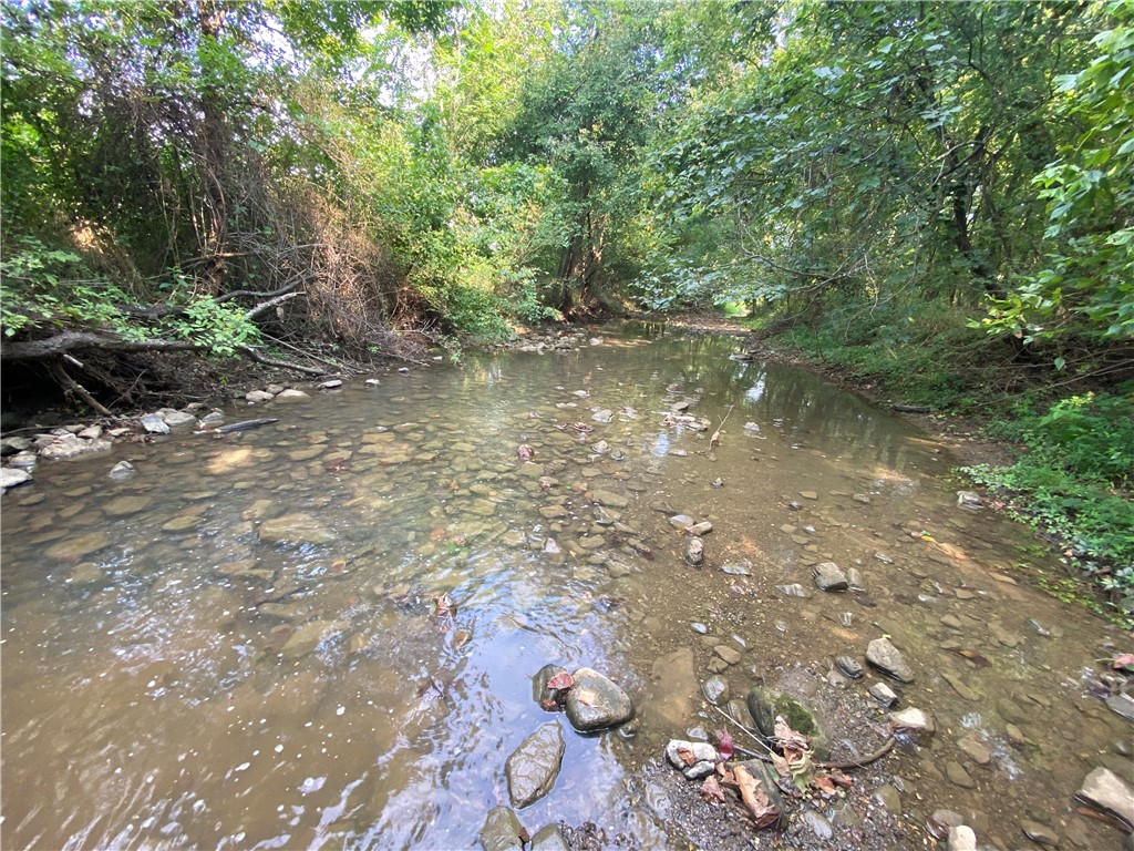 Image 37