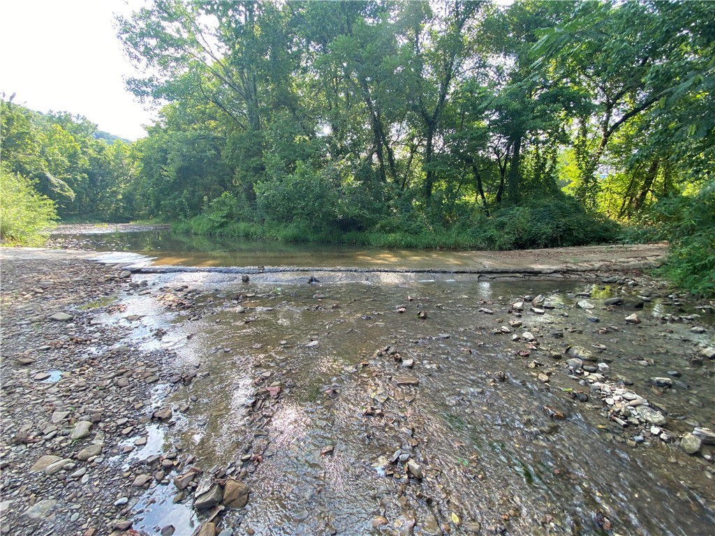 Image 39
