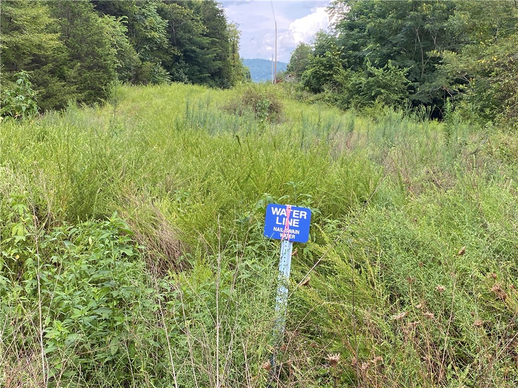Image 40