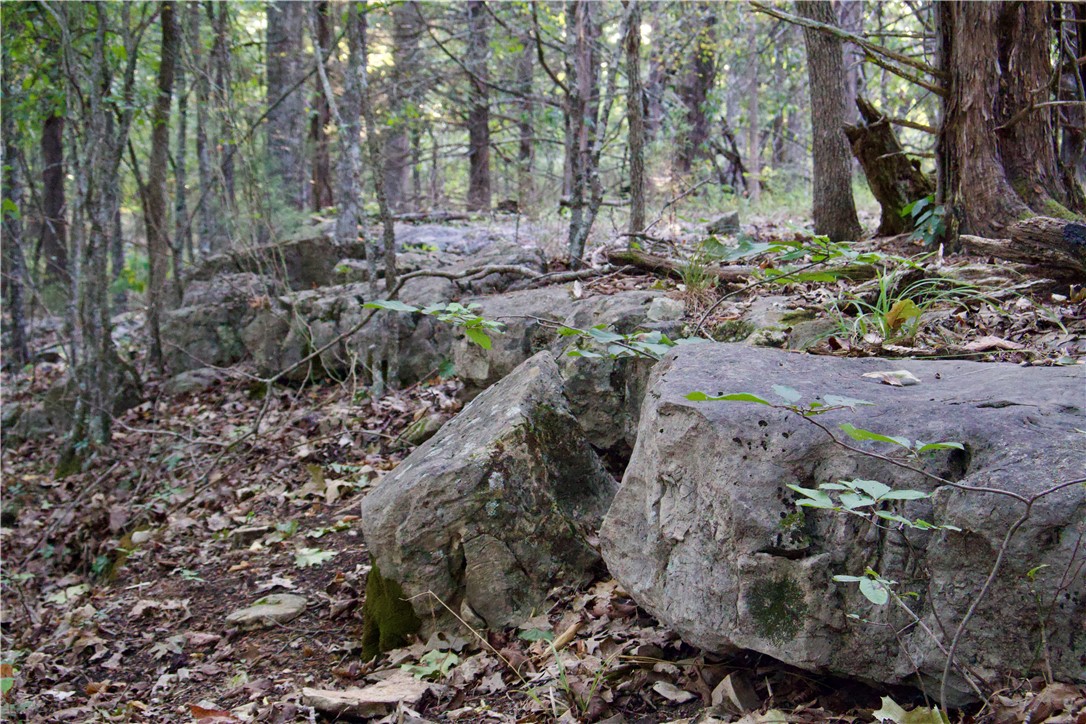 Image 36