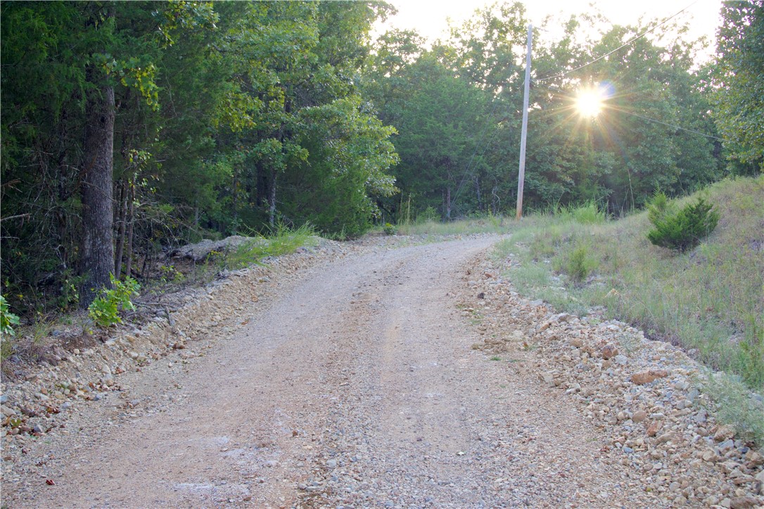 Image 41