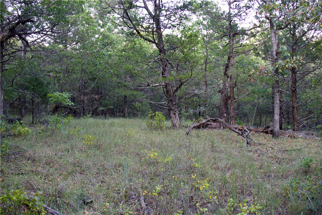 Image 45