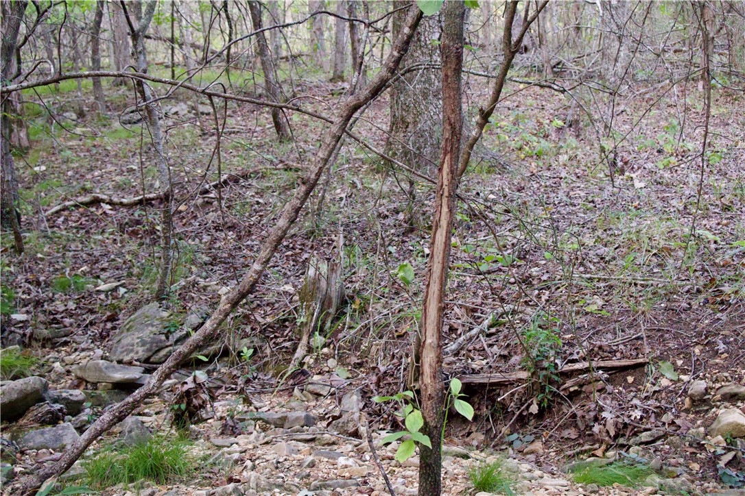 Image 48