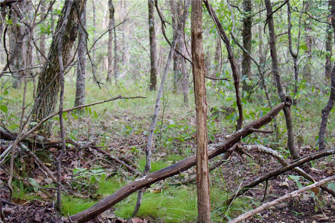 Image 49