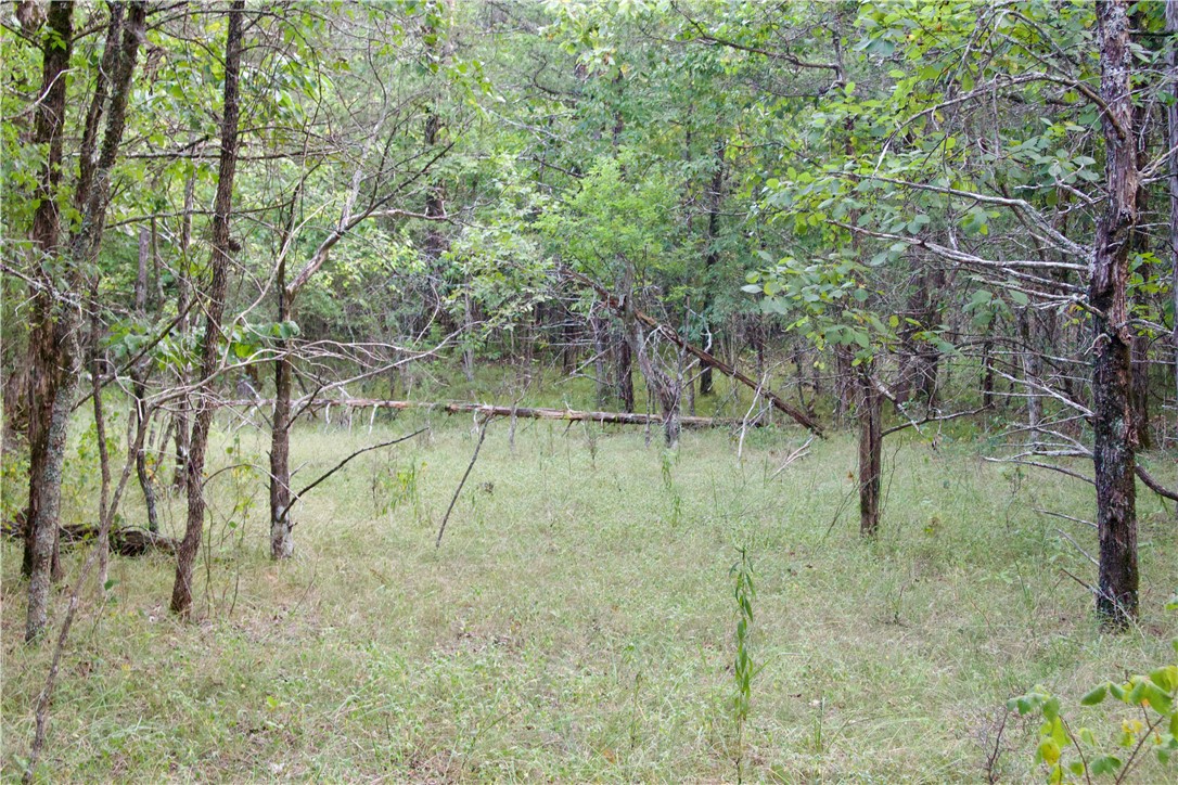 Image 50