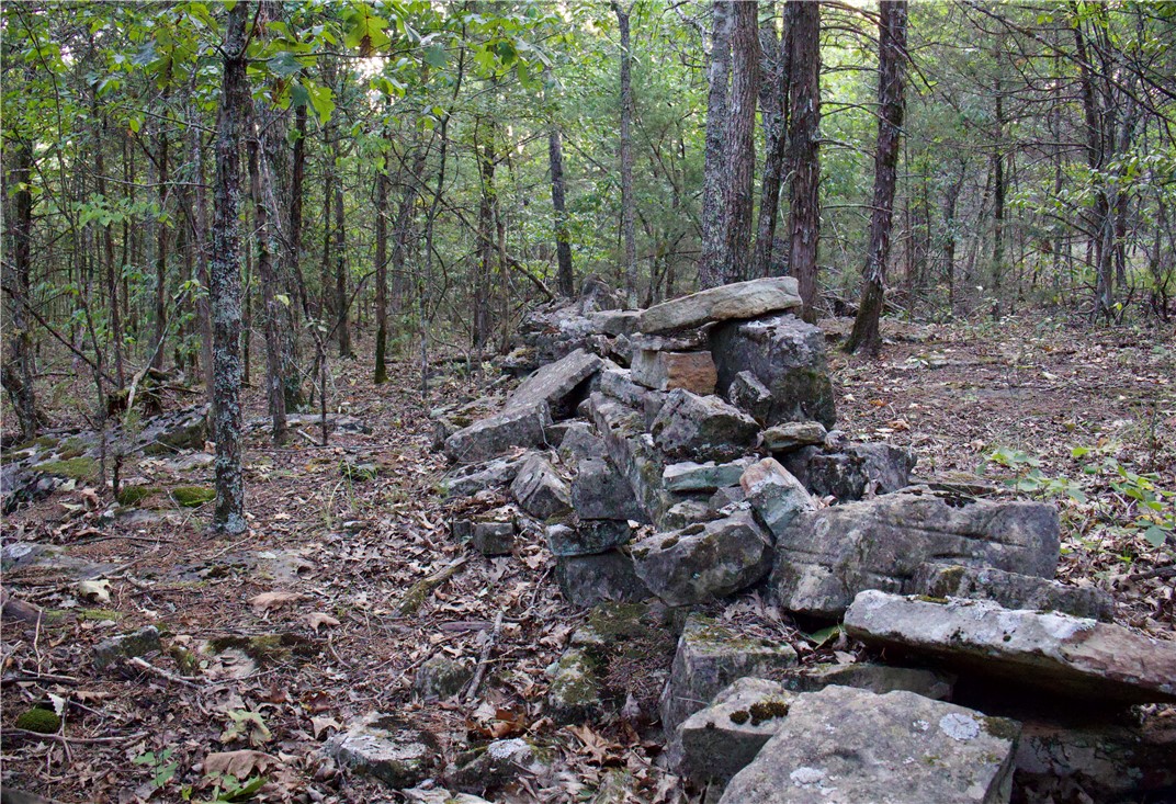 Image 51