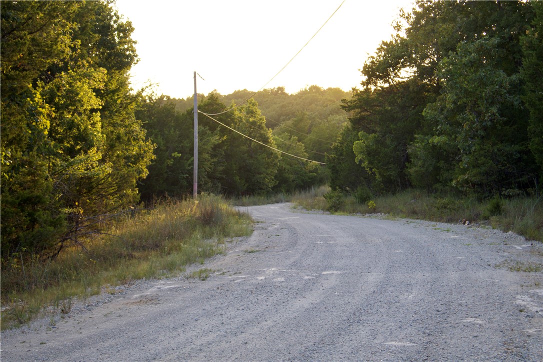 Image 55