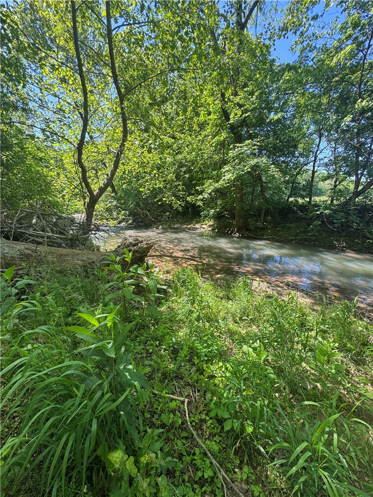 Image 25