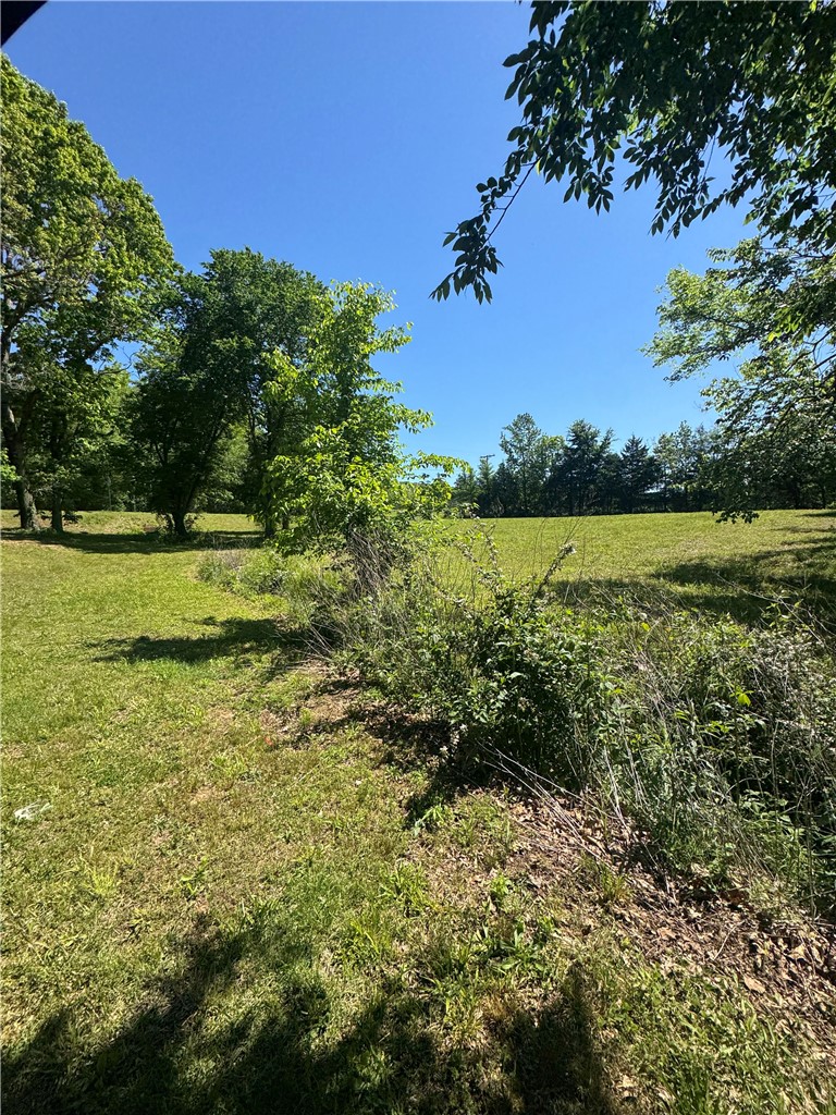 Image 31