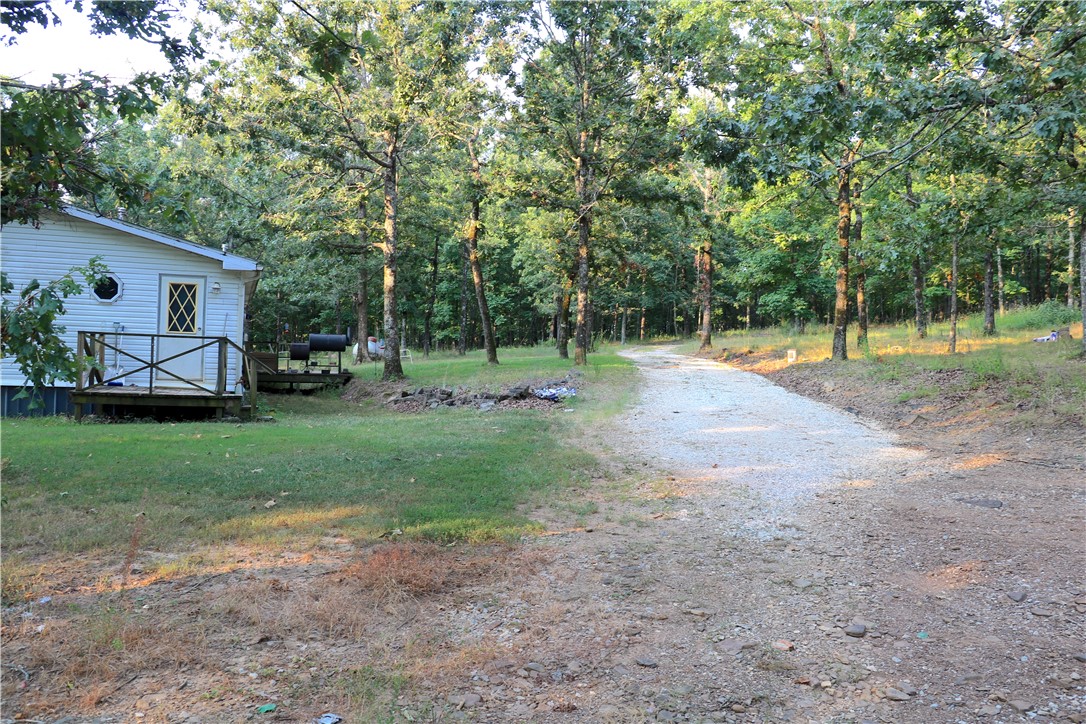 Image 11
