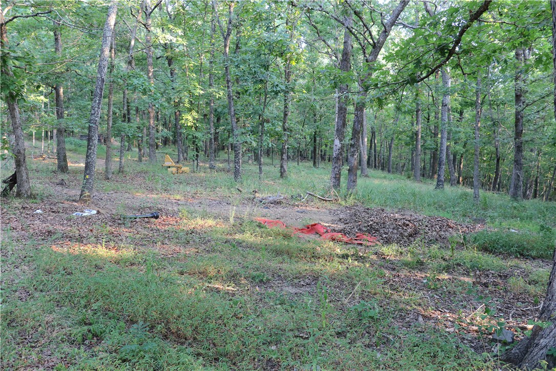 Image 12