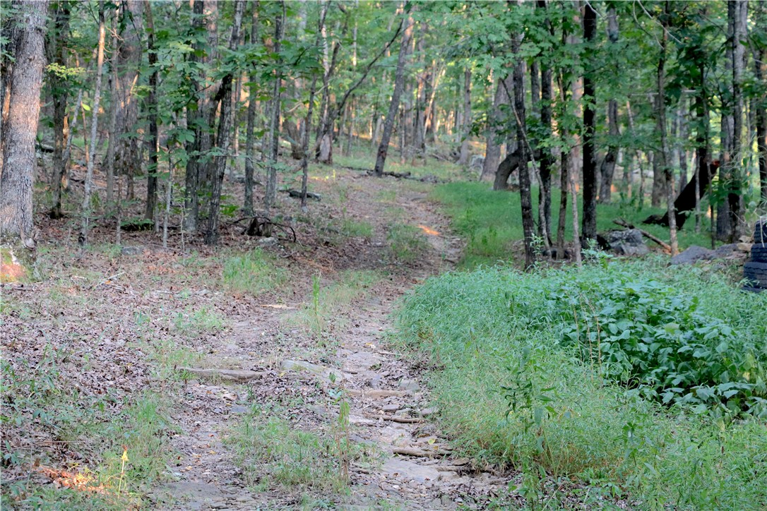 Image 15