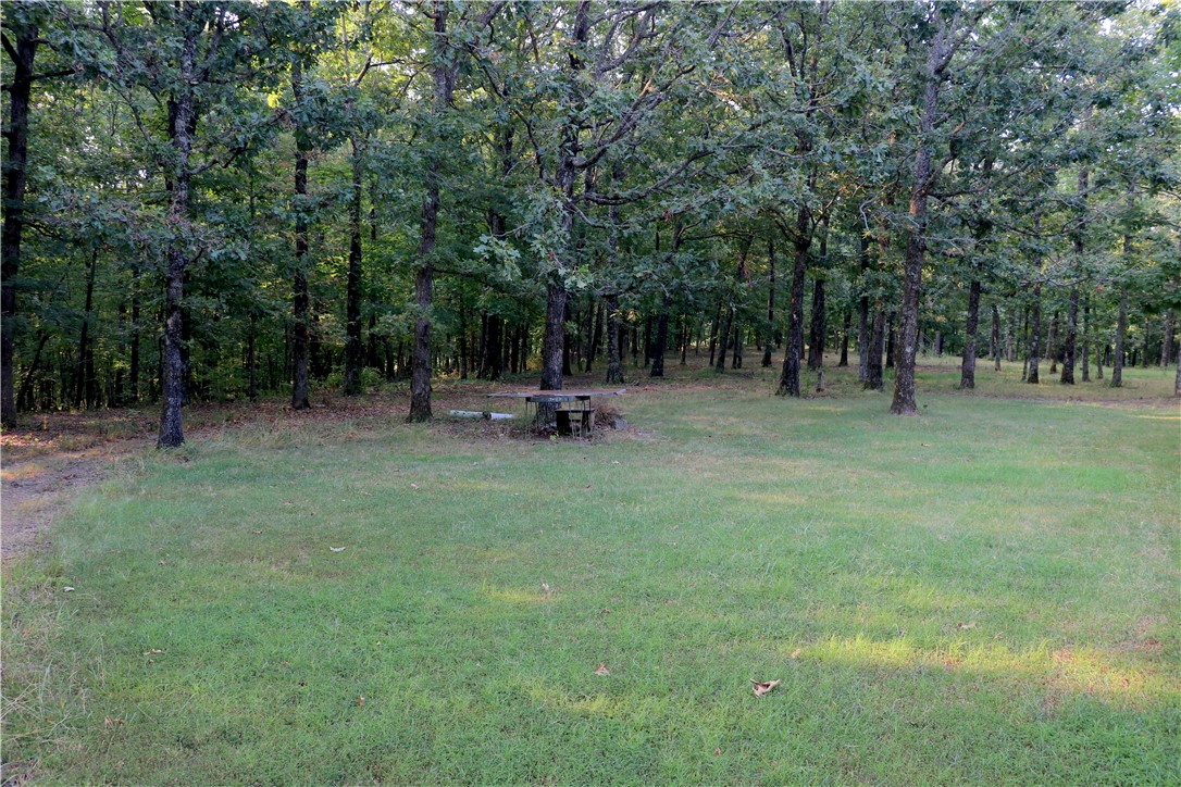Image 30