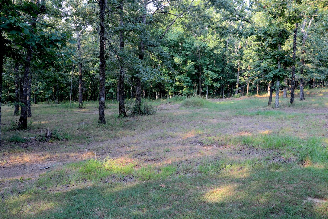 Image 32