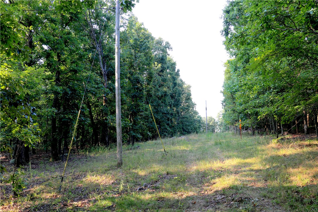 Image 40