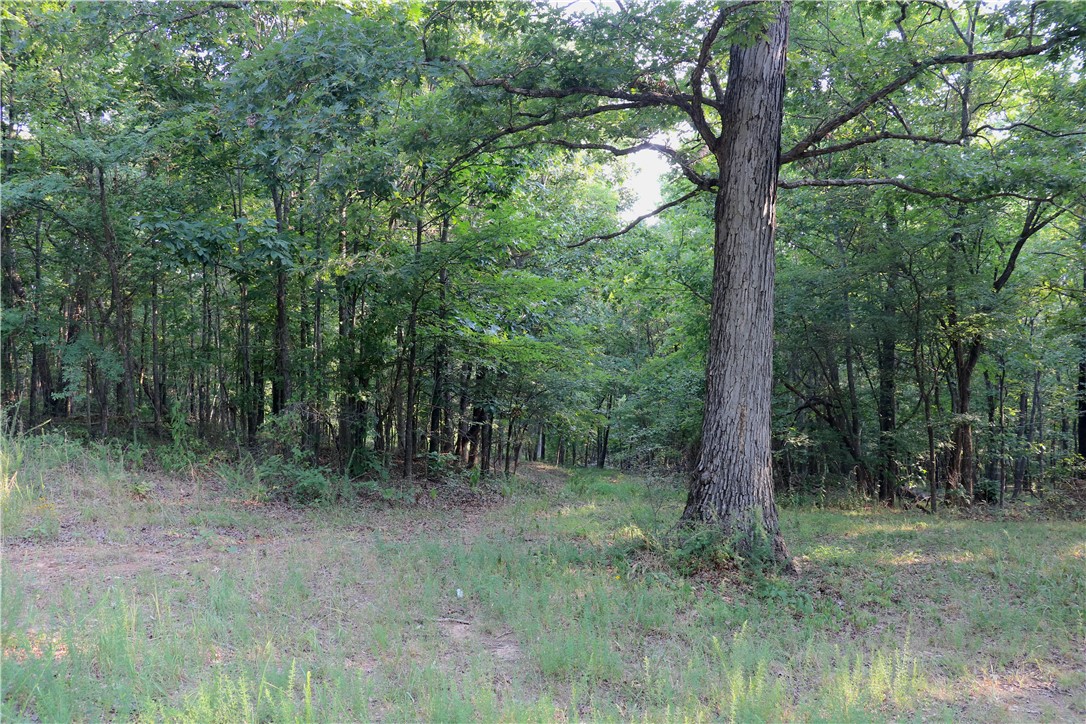 Image 42