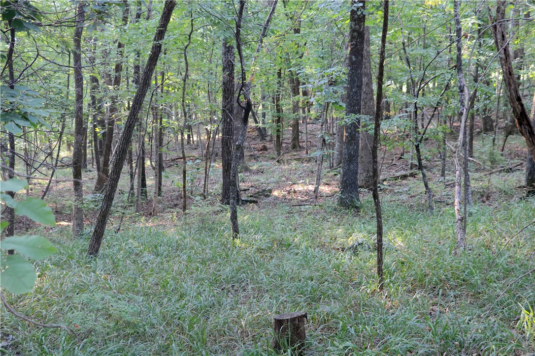 Image 49