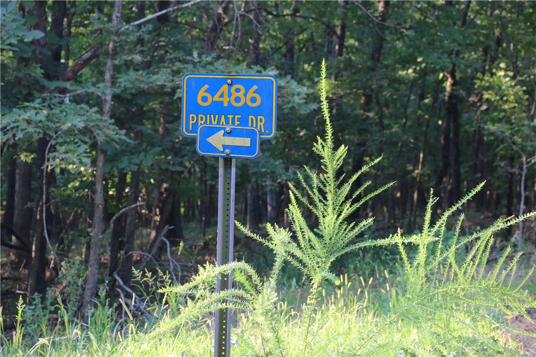 Image 53