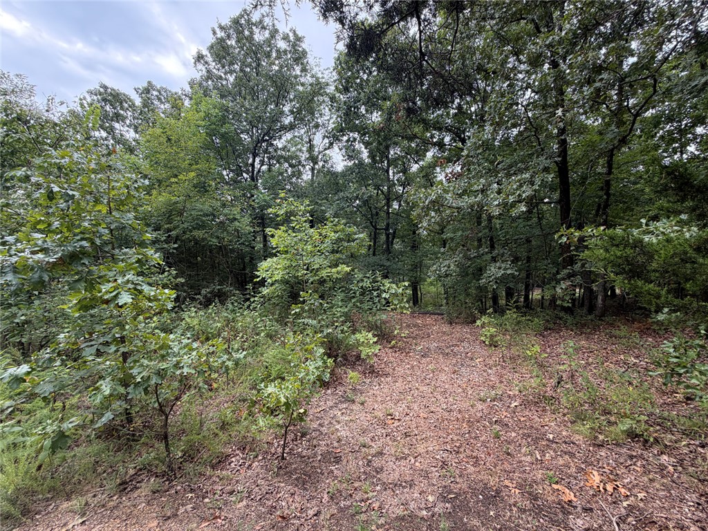 Image 12