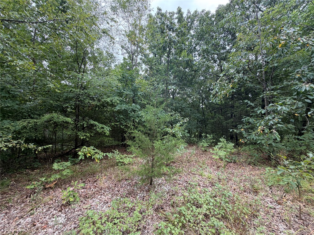 Image 13