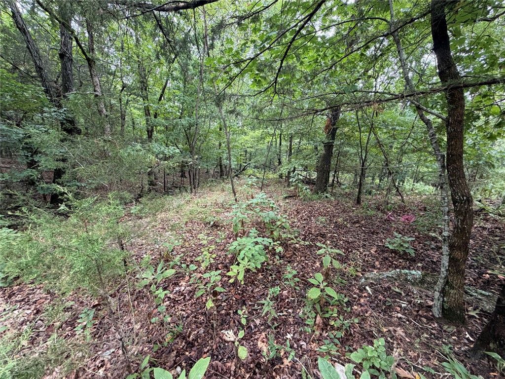 Image 14