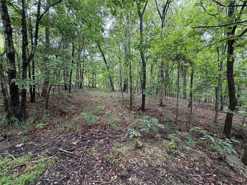 Image 15