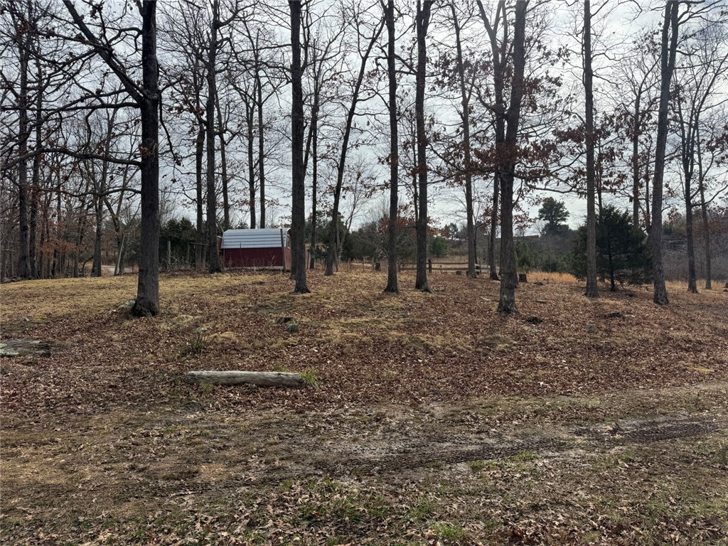 Image 10