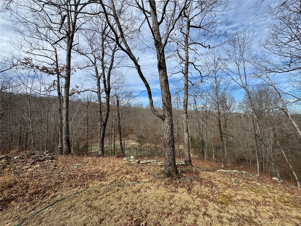 Image 13